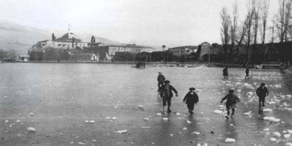 ΜΟΝΟΔΕΝΤΡΙ – Του Μανόλη Χατζηπαναγιώτου