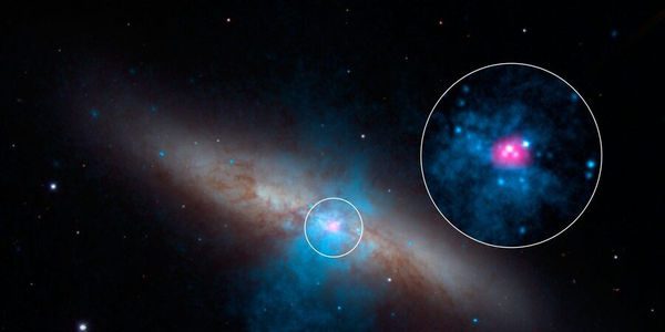 epa04437703 A handout image released by NASA on 08 October 2014 showing high-energy X-rays streaming from a rare and mighty pulsar (magenta), the brightest found to date, can be seen in this new image combining multi-wavelength data from three telescopes. The bulk of a galaxy called Messier 82 (M82), or the 'Cigar galaxy', is seen in visible-light data captured by the National Optical Astronomy Observatory's 2.1-meter telescope at Kitt Peak in Arizona. Starlight is white, and lanes of dust appear brown. Low-energy X-ray data from NASA's Chandra X-ray Observatory are colored blue, and higher-energy X-ray data from NuSTAR are pink. NuSTAR spotted a pulsing of X-rays from this ULX (called M82 X-2), a telltale sign of a pulsar, not a black hole. A pulsar is a type a neutron star, a stellar core left over from a supernova explosion, that sends out rotating beams of high-energy radiation.  EPA/NASA / HANDOUT  HANDOUT EDITORIAL USE ONLY