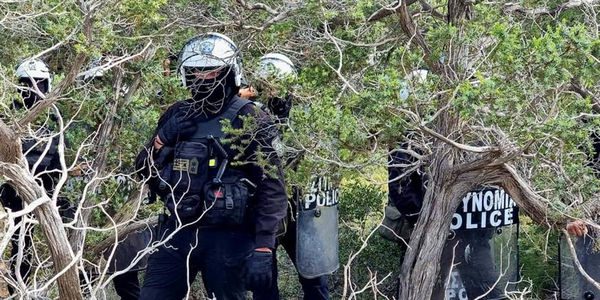 Σύλληψη εργολάβου στη Γαύδο για εξύβριση και απειλή – Το συνεργείο του επιχειρούσε τον καθαρισμό παραλίας