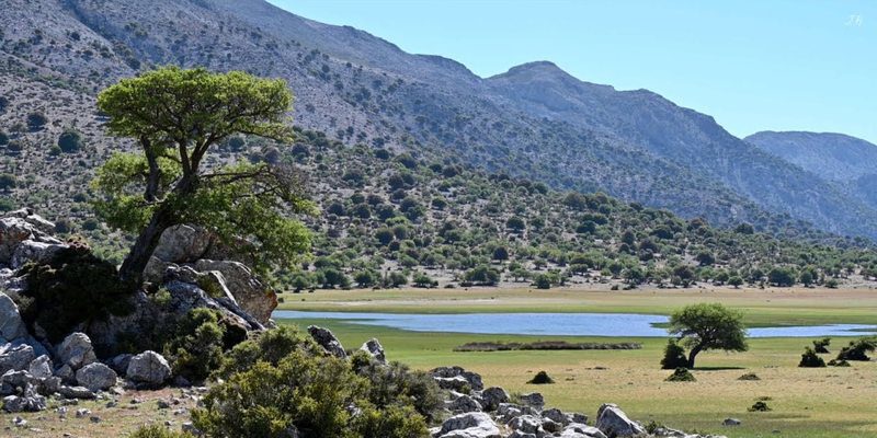 Δήμος Βιάννου: Εορταστικές εκδηλώσεις στο Οροπέδιο Ομαλού, για τον εορτασμό του Αγίου Πνεύματος, της Φύσης, της 85ης  Επετείου από την Μάχη της Κρήτης και της Αντίστασης στην Βιάννο