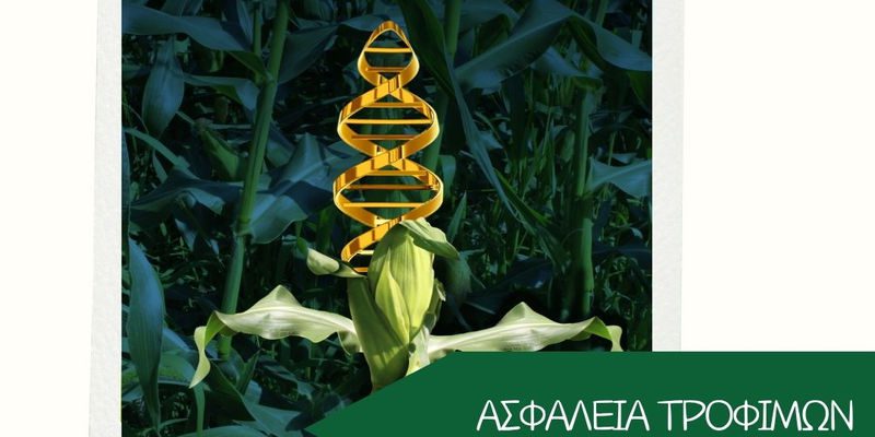 Η Ένωση Εργαζομένων Καταναλωτών Ελλάδας στηρίζει τη δράση της Greenpeace για την προστασία της διαφάνειας και της ασφάλειας των τροφίμων